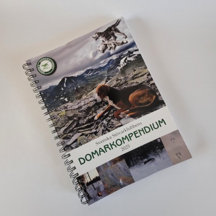 Domarkompendium 2025